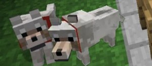 minecraft-1.4-update-wolf.jpg